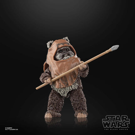 Wicket Star Wars Episode VI Black Series Action Figure 15 cm